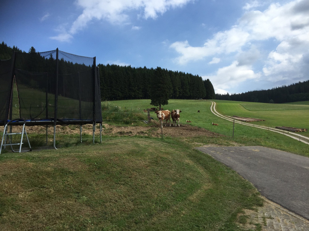 Bubenbach旅游攻略图片