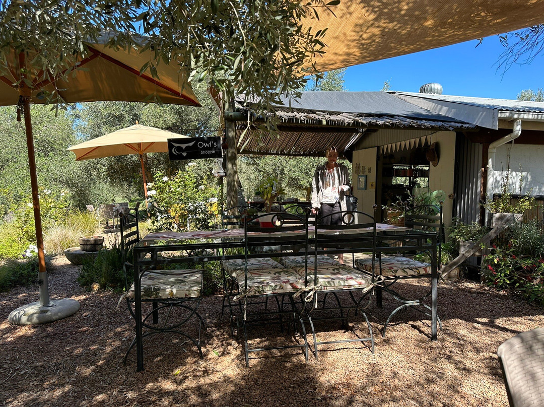 Robertson旅游景点-Owl's Rest Olive and Lavender Farm