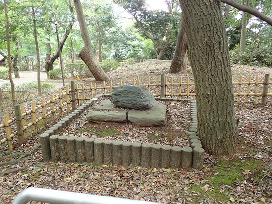 Satomi Park-市川市必去景点