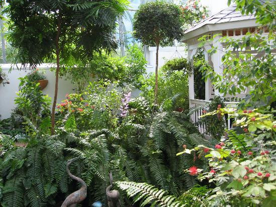 西礁岛蝴蝶自然温室-基韦斯特必去景点