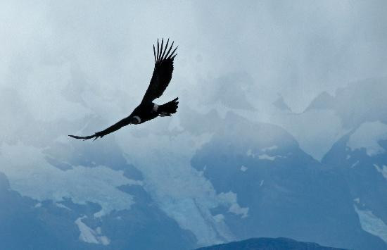 The Condors Nests-纳塔莱斯港必去景点