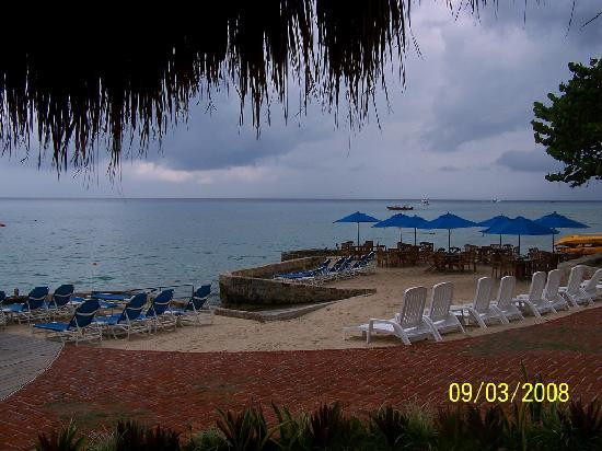 The Money Bar Beach Club-考祖梅必去景点