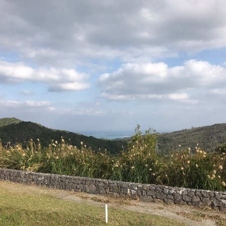 Ishiyama Viewing Platform景点图片