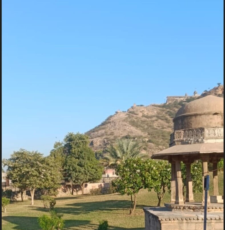 Old Baoris (Hadi Rani Kund)景点图片