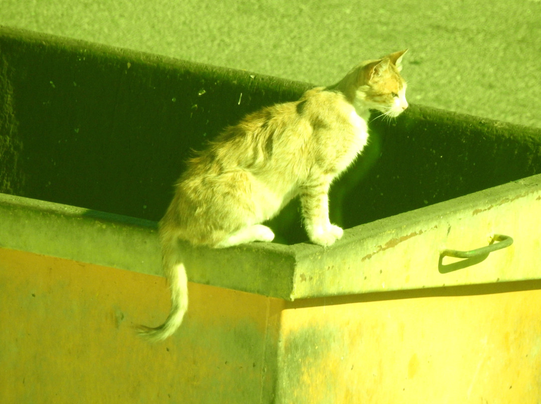 Riyadh Tours-Umluj必去景点