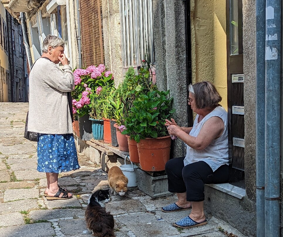 Walking Tours Porto-波尔图必去景点