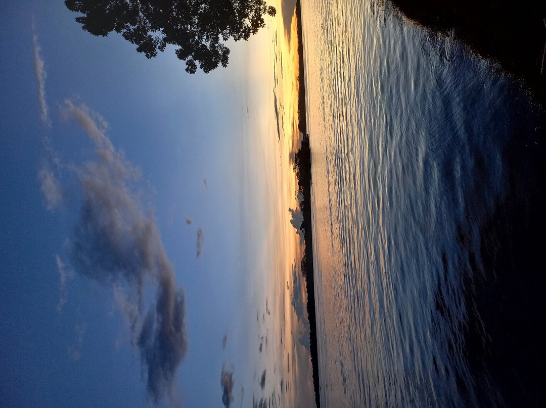Puerto Nariño Lugar Pesebre Natural De Colombia景点图片