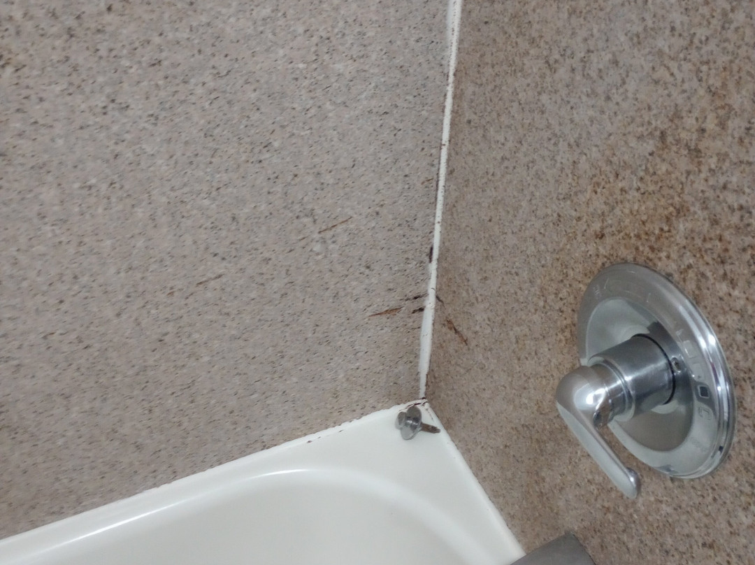 Country Inn & Suites by Radisson, Albany, GA主图