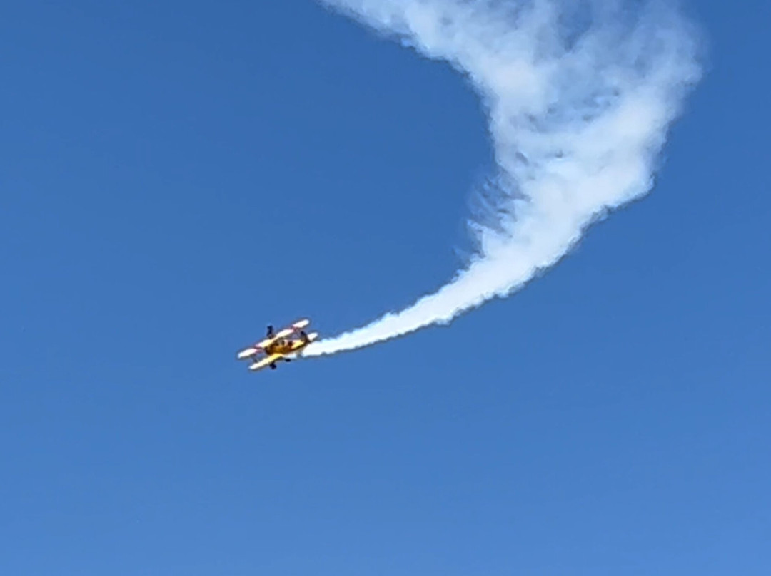 Wingwalk Buzz-Dunkeswell必去景点