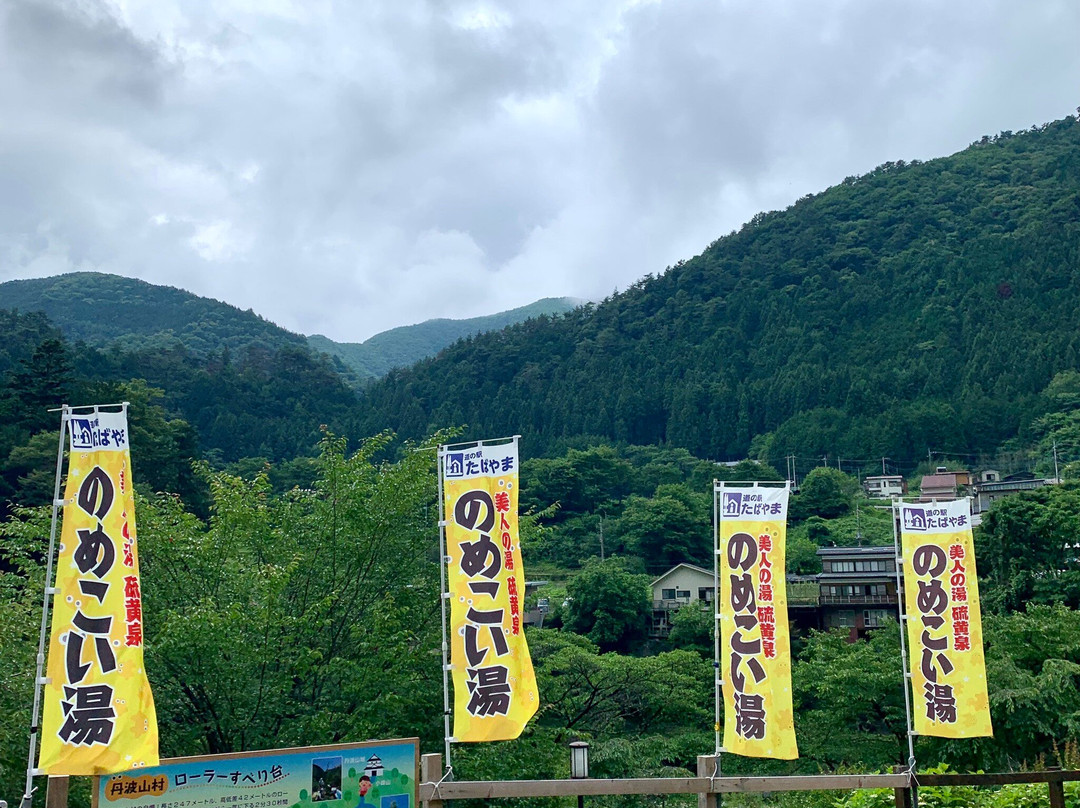 Roadside Station Tabayama-丹波山村必去景点