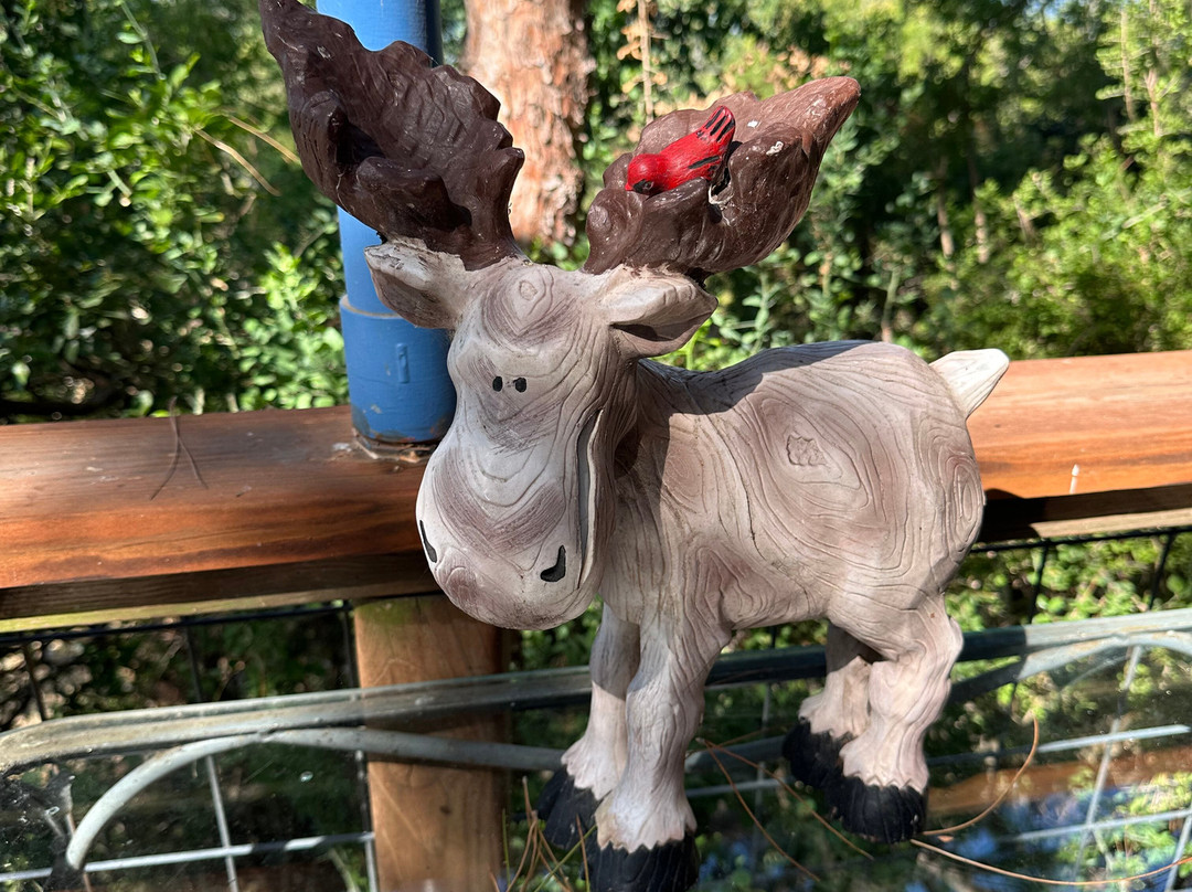 Rainbow Hearth Sanctuary and Retreat主图