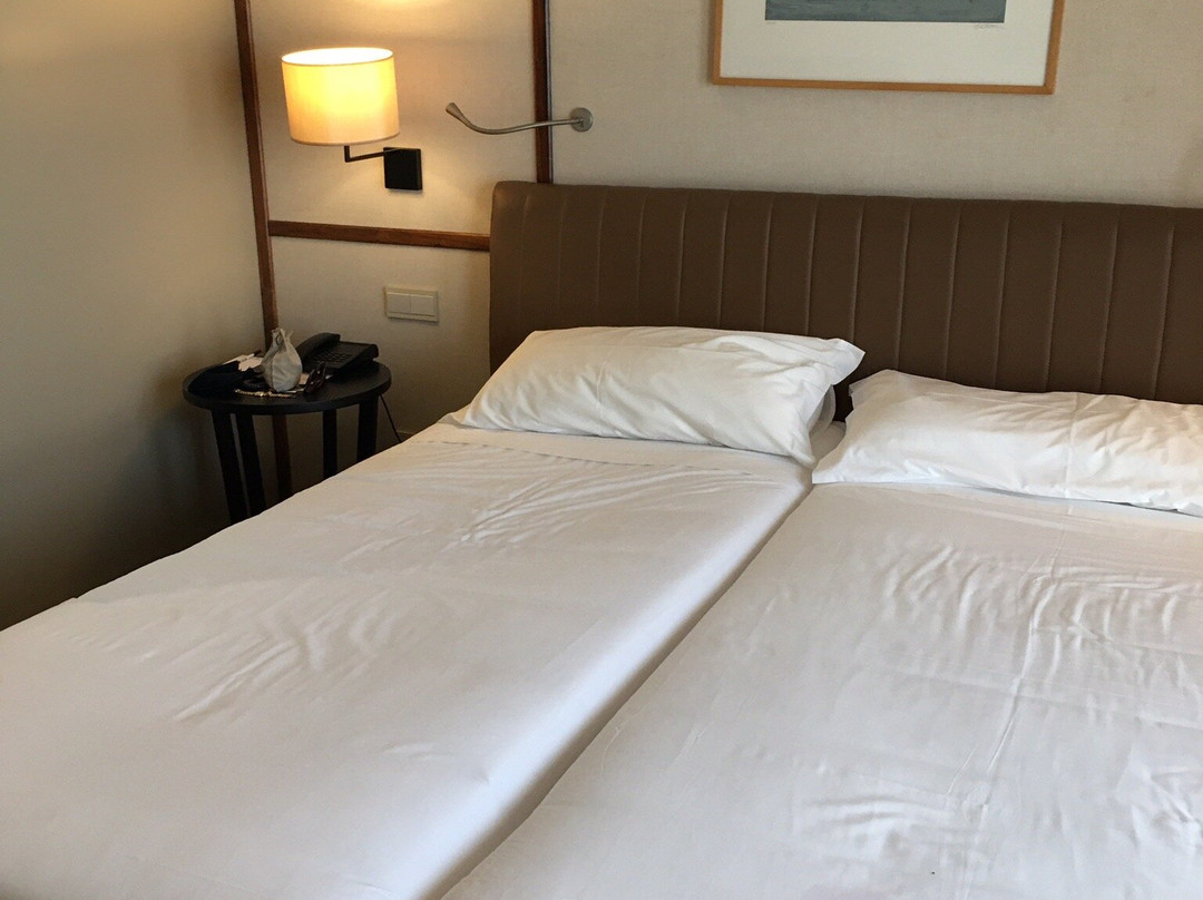 Hotel de Guimaraes主图