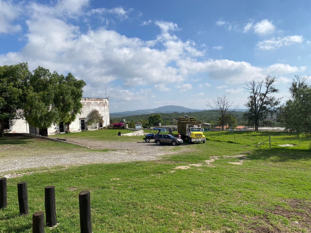 Ex Hacienda El Zoquital景点图片