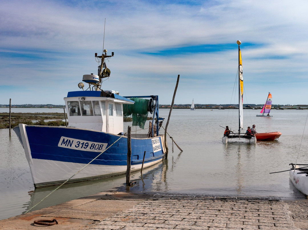 Port Ostréïcole De Marennes景点图片