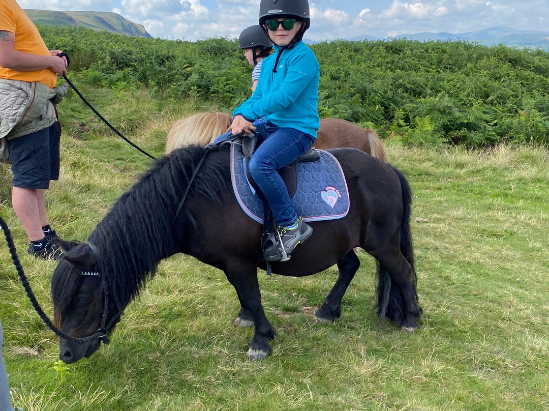 Pony Trekking Ullswater景点图片