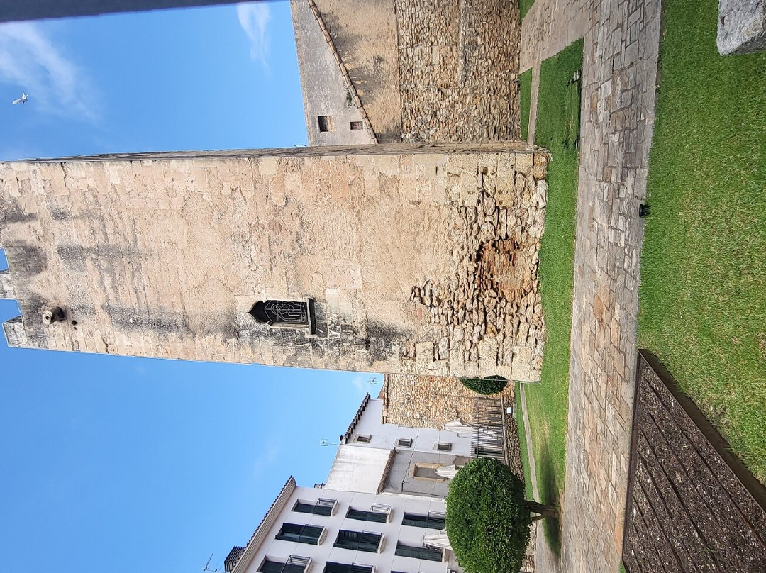 Torre de la Vila景点图片
