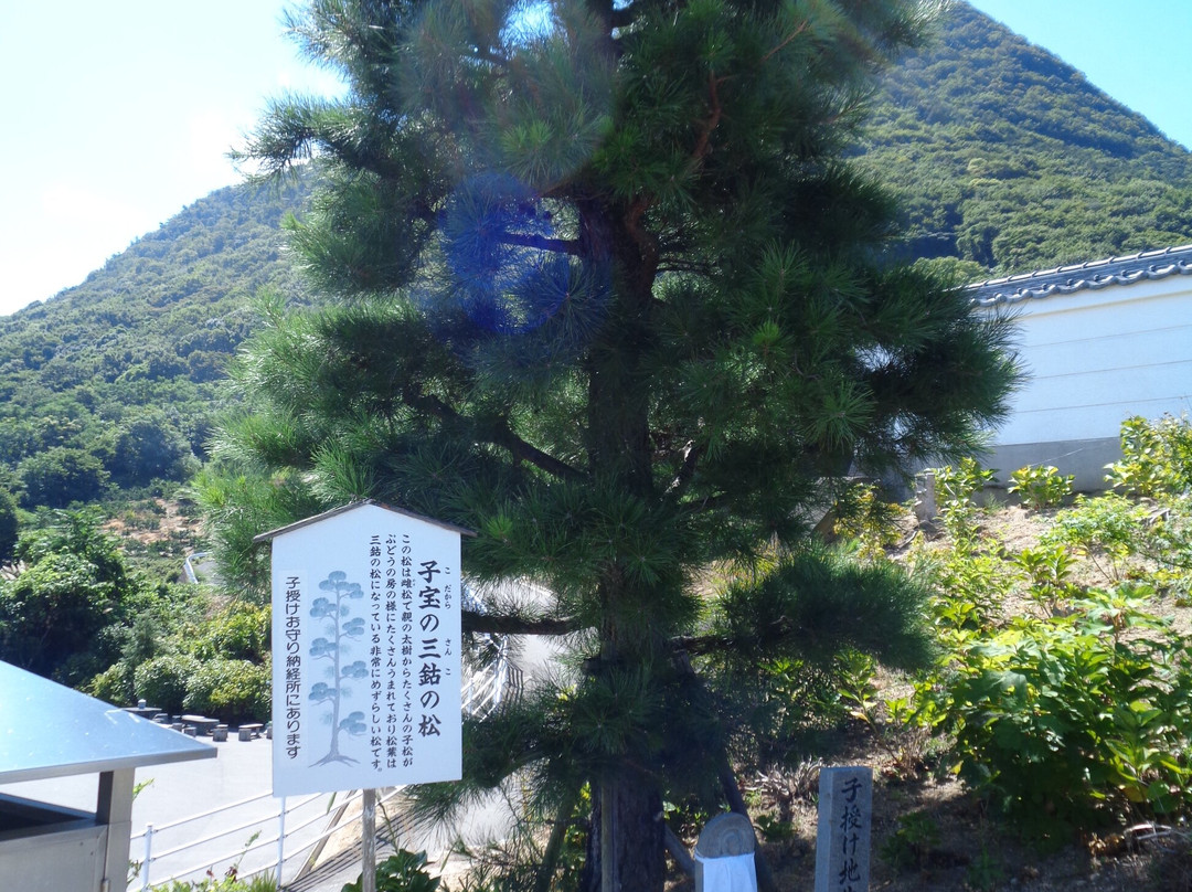 Shutsujakaji Temple-善通寺市必去景点