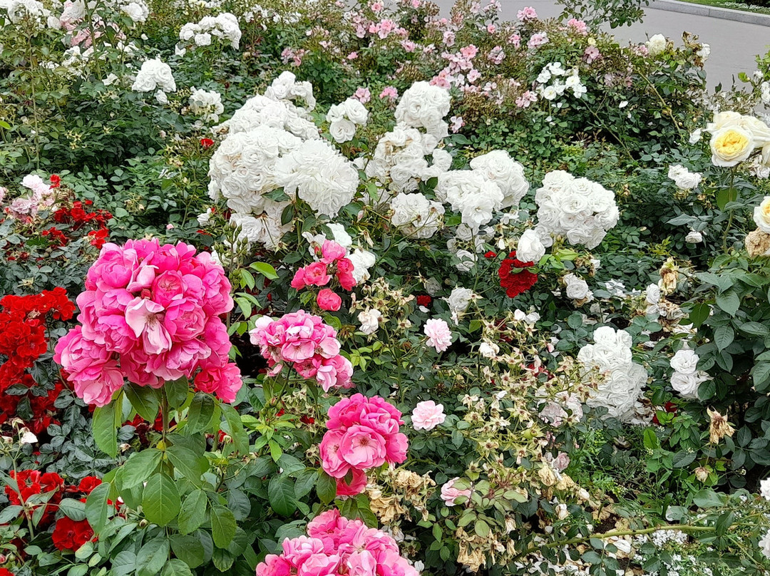 Volzhsky Priboy Hotel主图