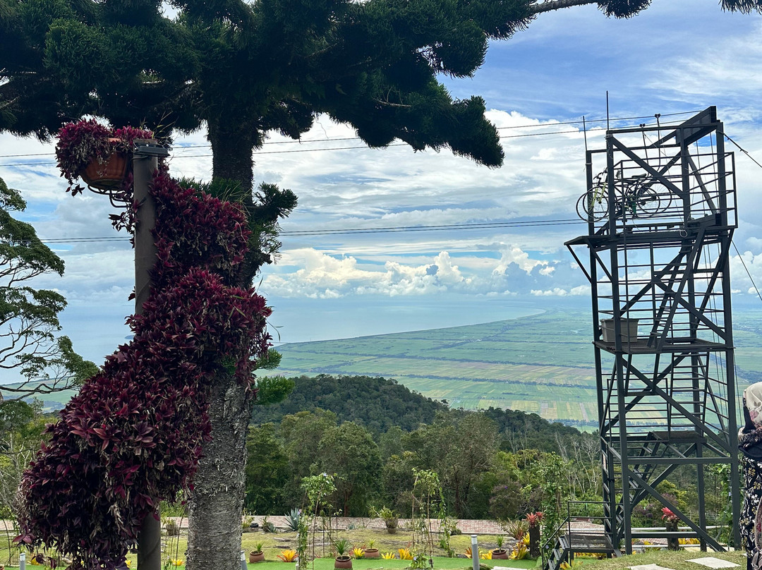 The Regency Jerai Hill Resort主图