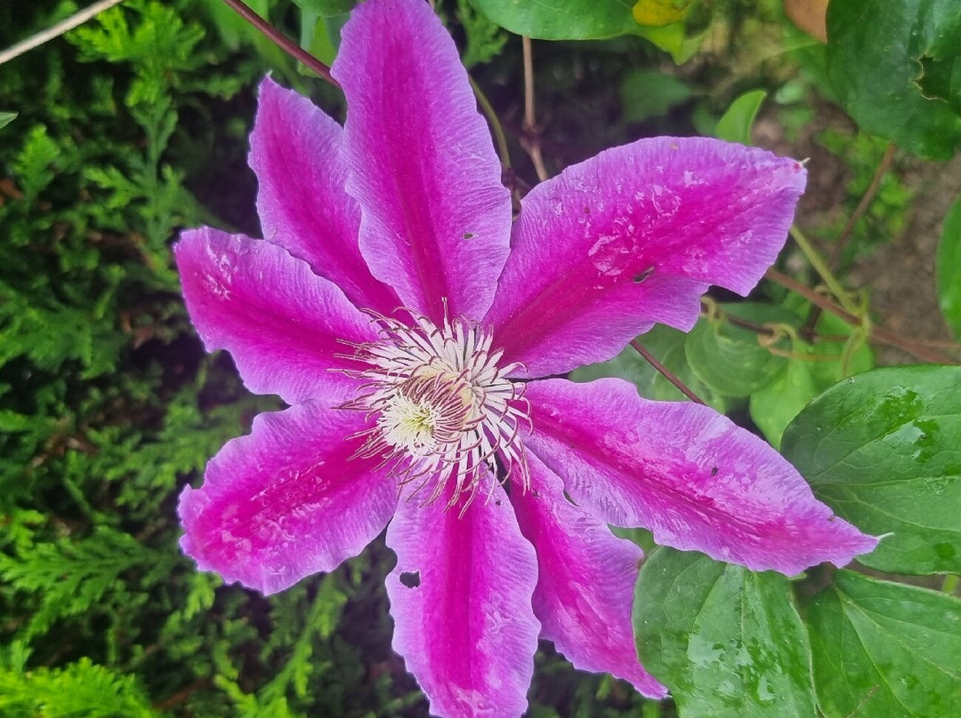 Old Mill Farmhouse主图