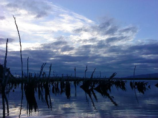 Chepu Adventures-Chepu必去景点