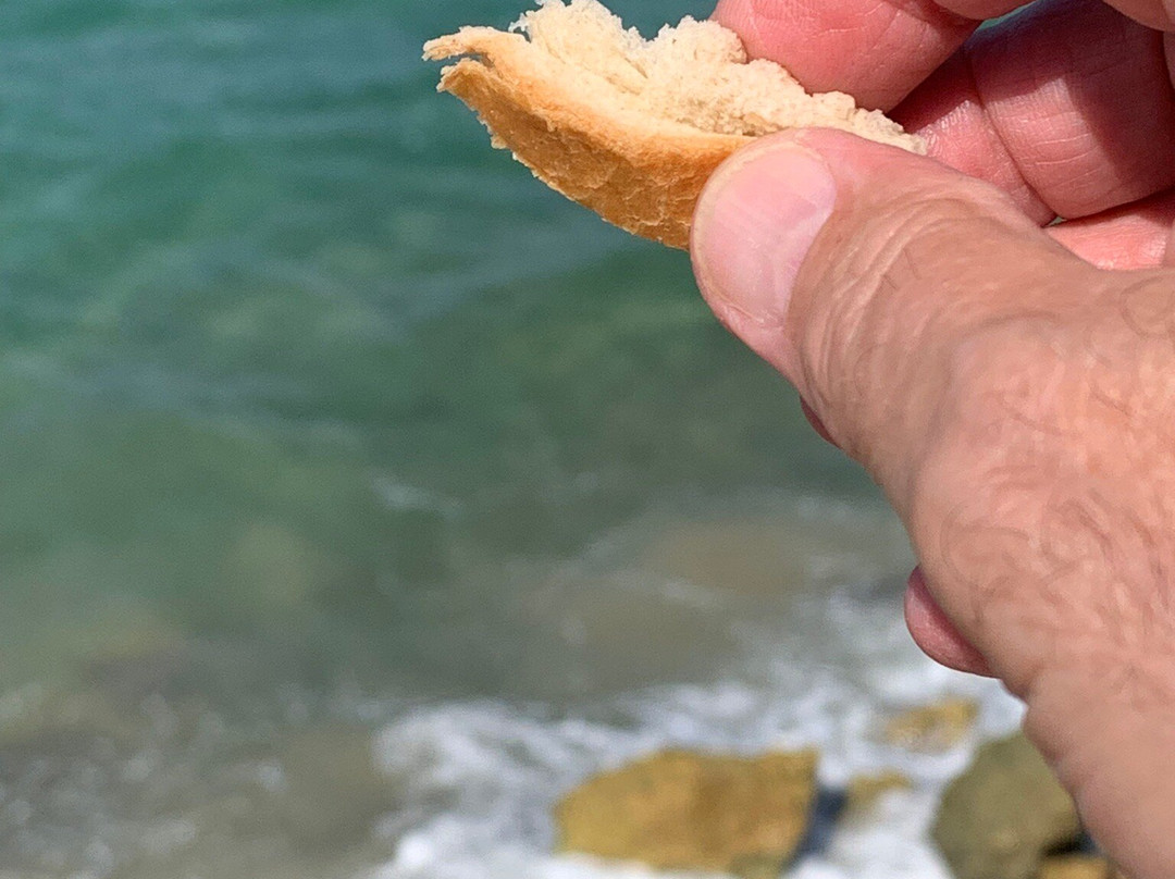 Tayelet Homot Hayam-雅法必去景点