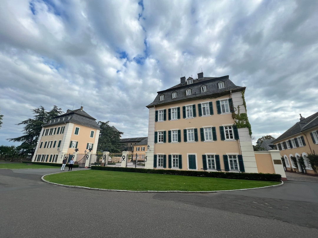 Schloss Johannisberg-盖森海姆必去景点