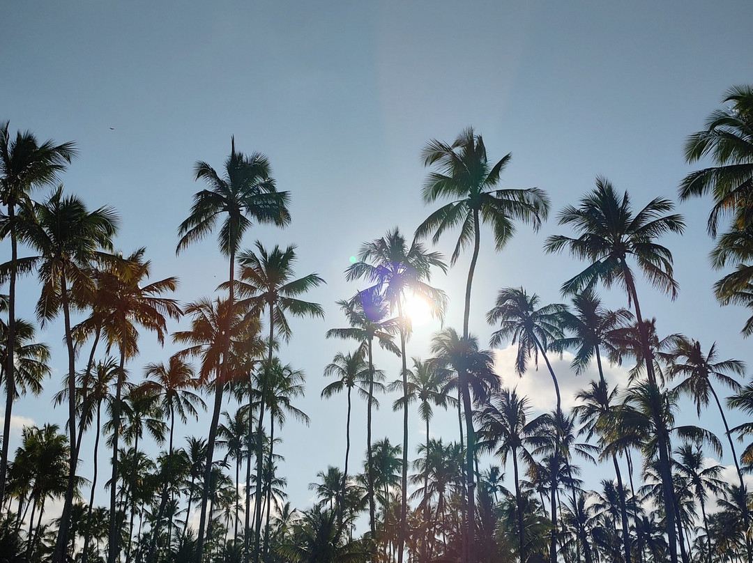 Pontal dos Carneiros Bungalows主图