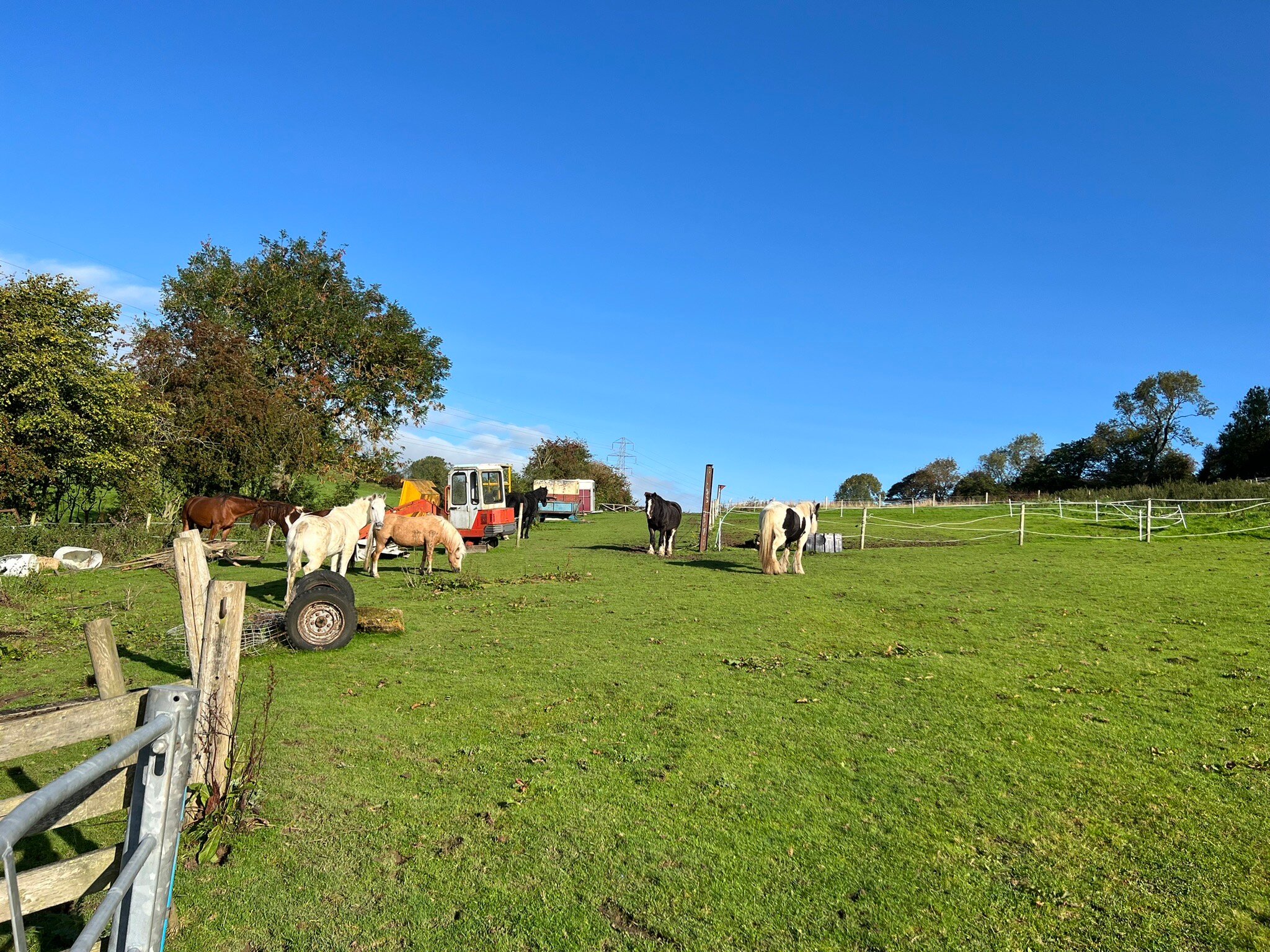 Hope Mountain Bed & Breakfast-官方