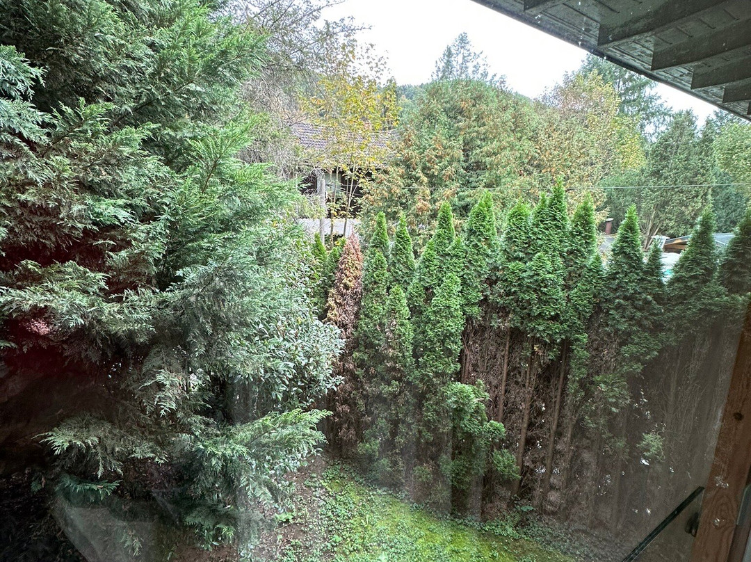 Villa Waldesruh主图