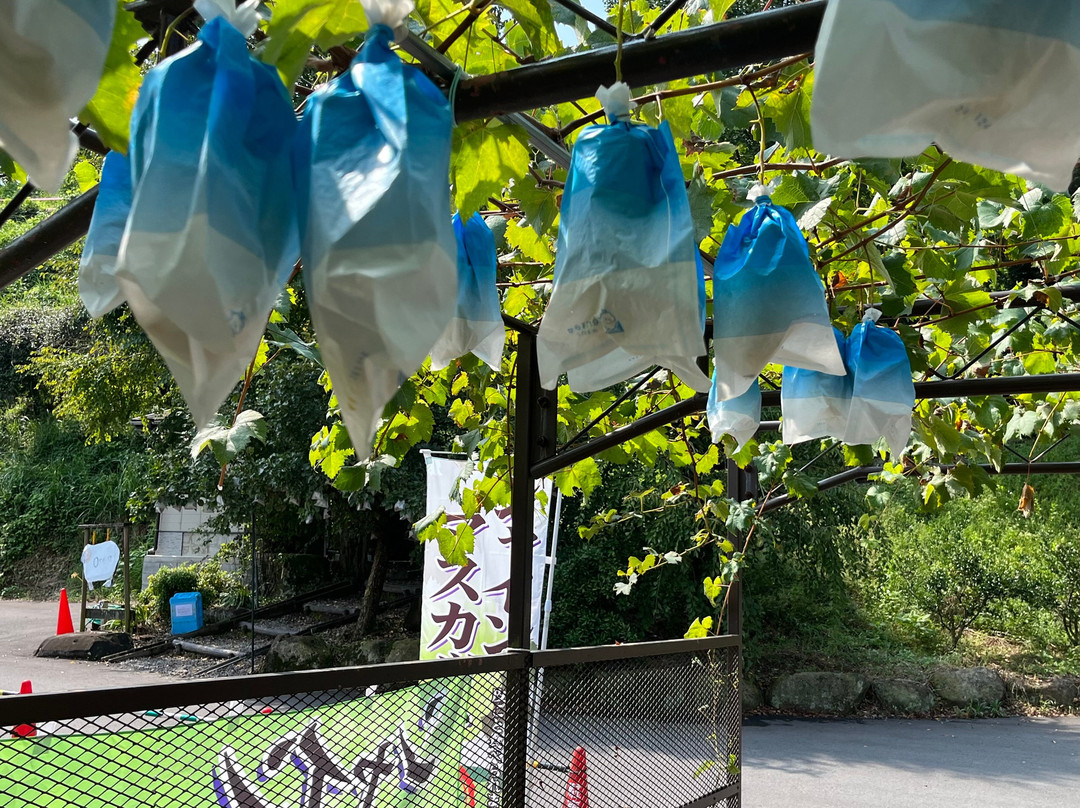 Ukiha Kaju no Mura Yamandon-浮羽市必去景点