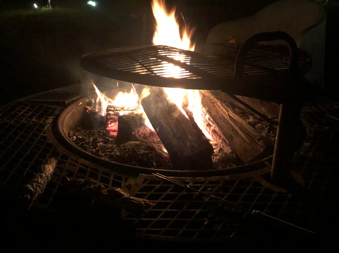 The Little Lion主图