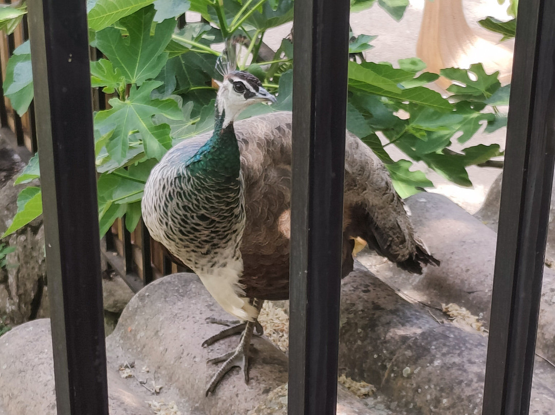 Apartamentos Paraje San Blas主图