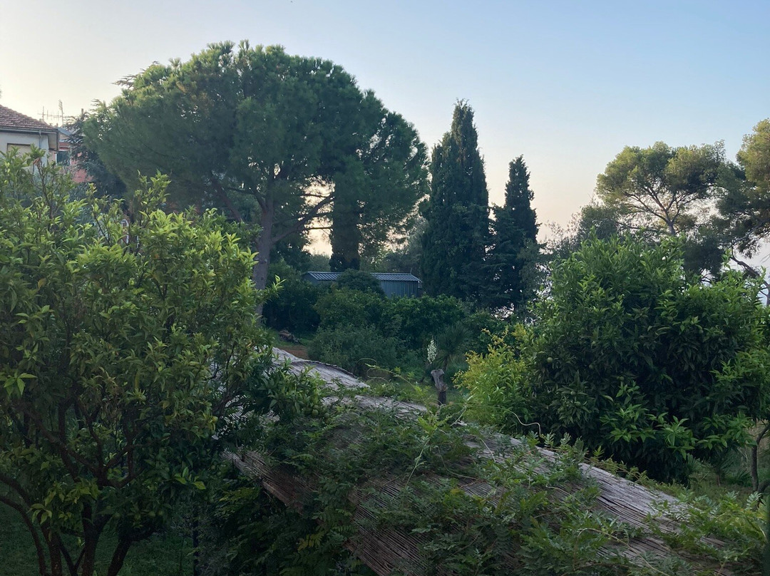 Villa del Parco B&B主图