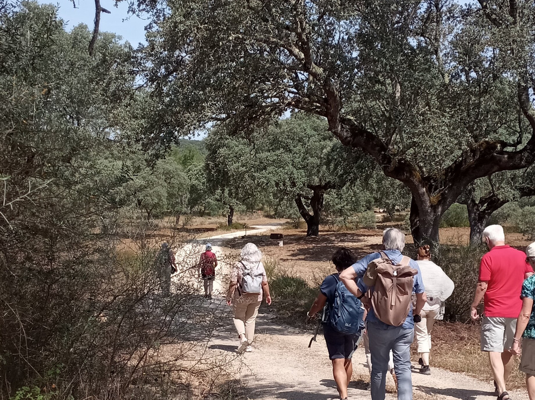 Pepe Aromas-Arraiolos必去景点