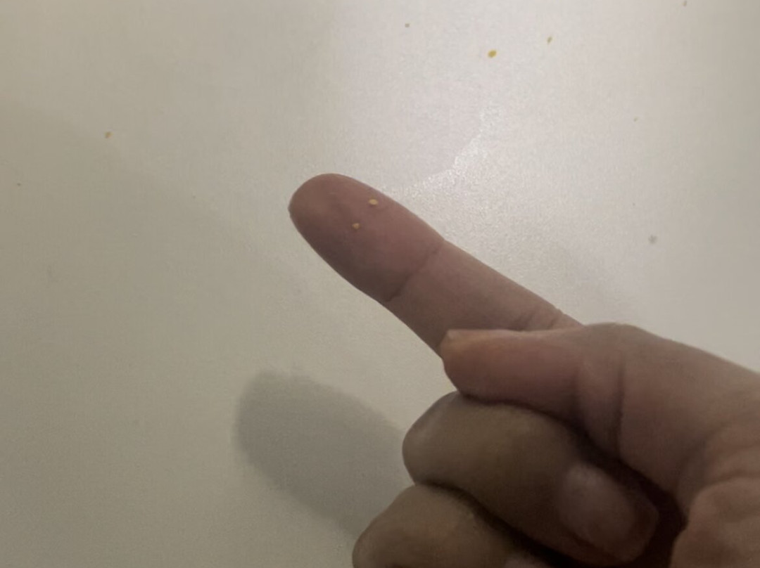 Porto da Serra Hotel主图