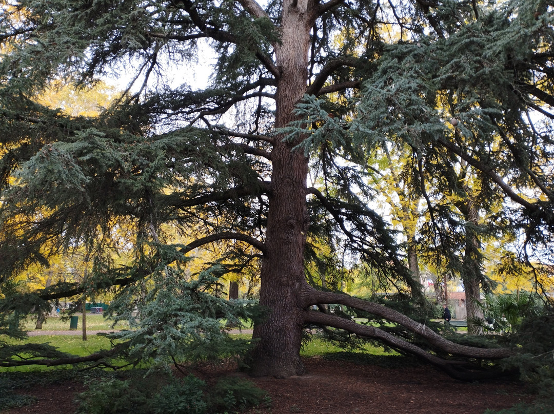 Jardin Des Plantes Toulouse-图卢兹必去景点