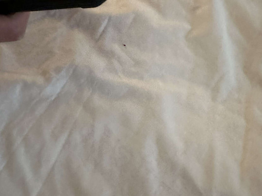 North Platte Inn & Suites主图