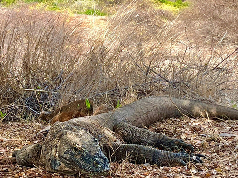 Happy Trails Asia-沙努尔必去景点