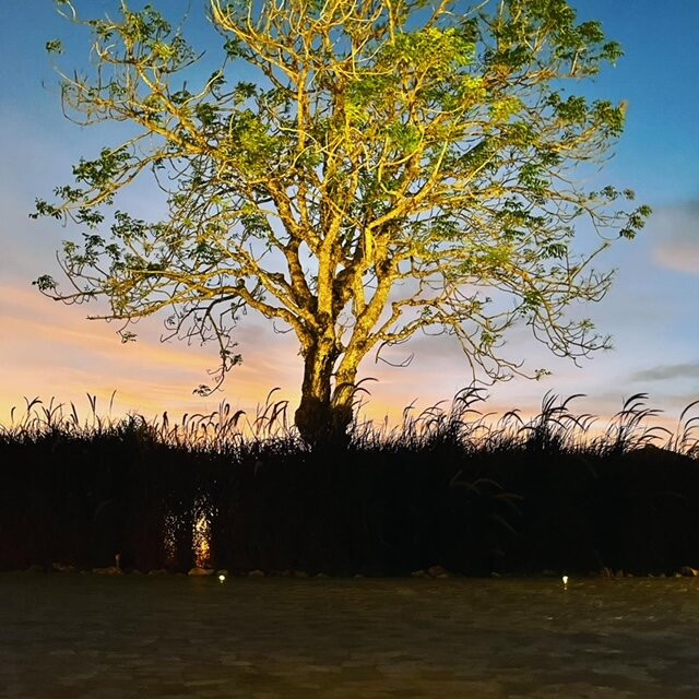 Rinduku Bali Tours景点图片