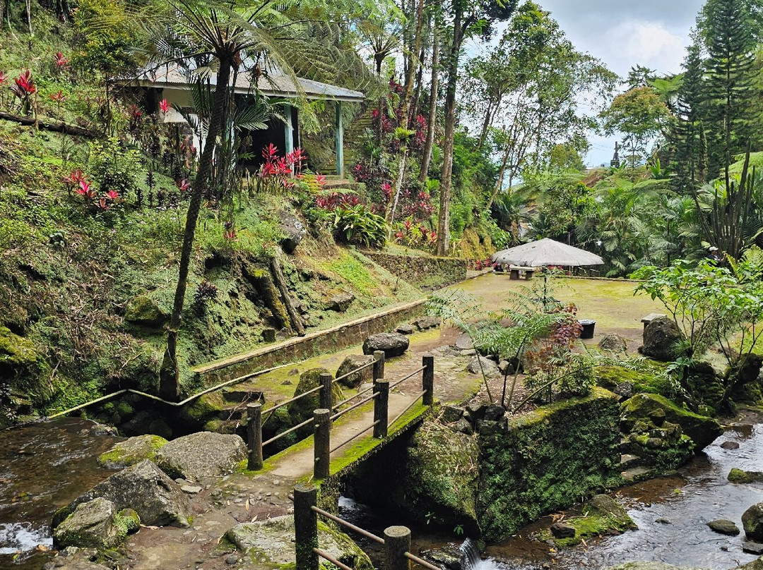 Parang Ijo Waterfalls景点图片