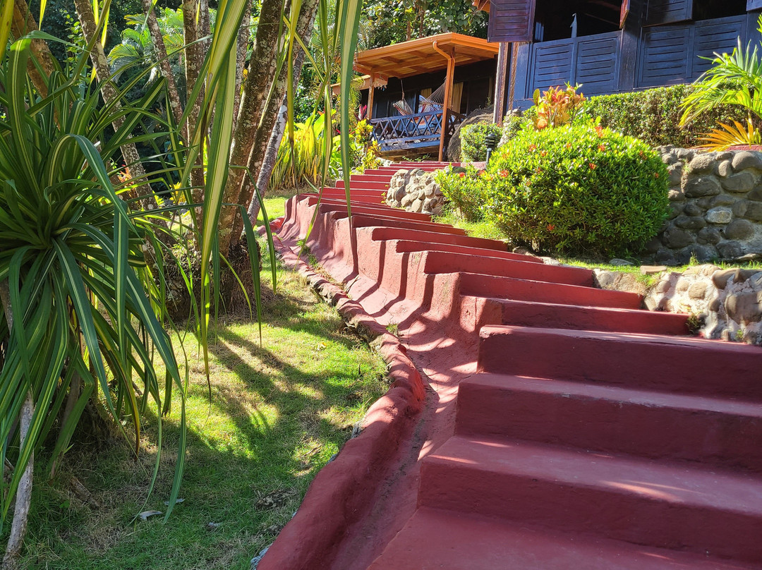 Hotel El Jardin主图