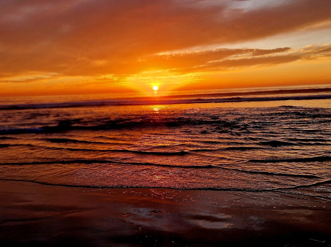 Brisa Pacific Hotel Encinitas主图