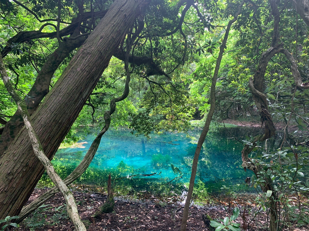 Maruiikesama Pond景点图片