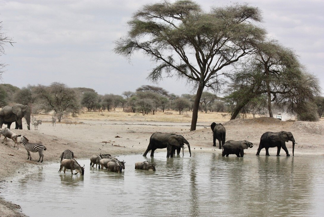 The Infinite Horizon-阿鲁沙必去景点