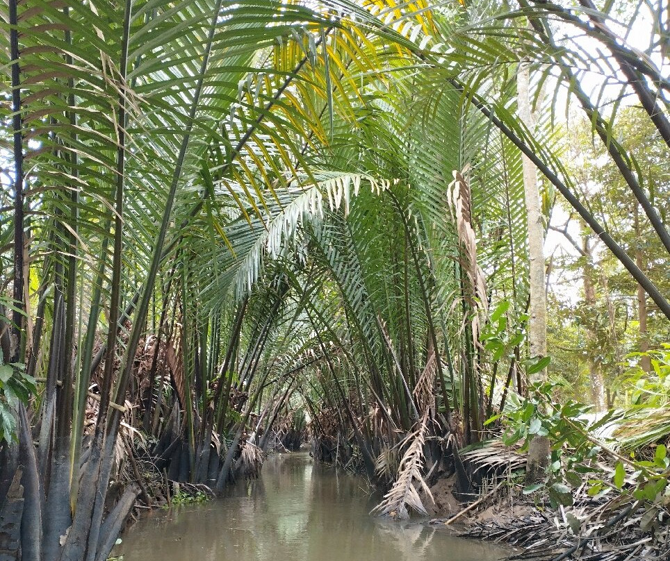 Linh Mekong Tour Can Tho-芹苴必去景点