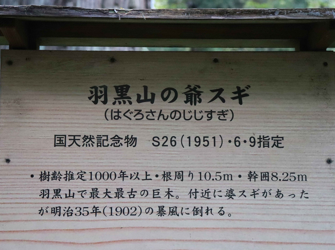 Jijisugi景点图片