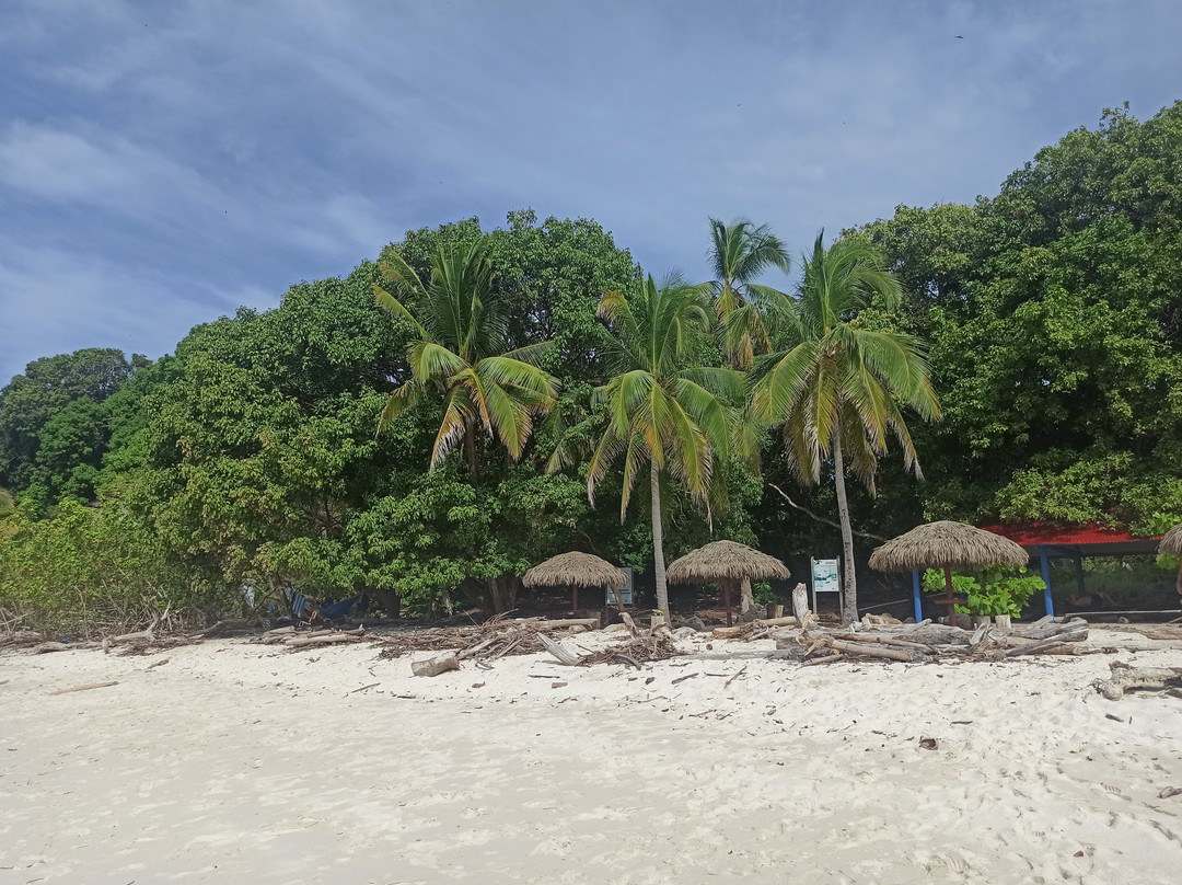 Isla Iguana景点图片