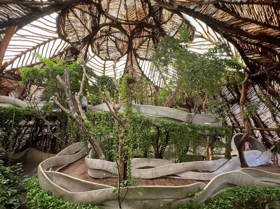 AZULIK Uh May-Francisco Uh May必去景点