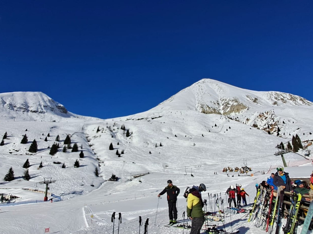 Genusshotel Stefanshof主图